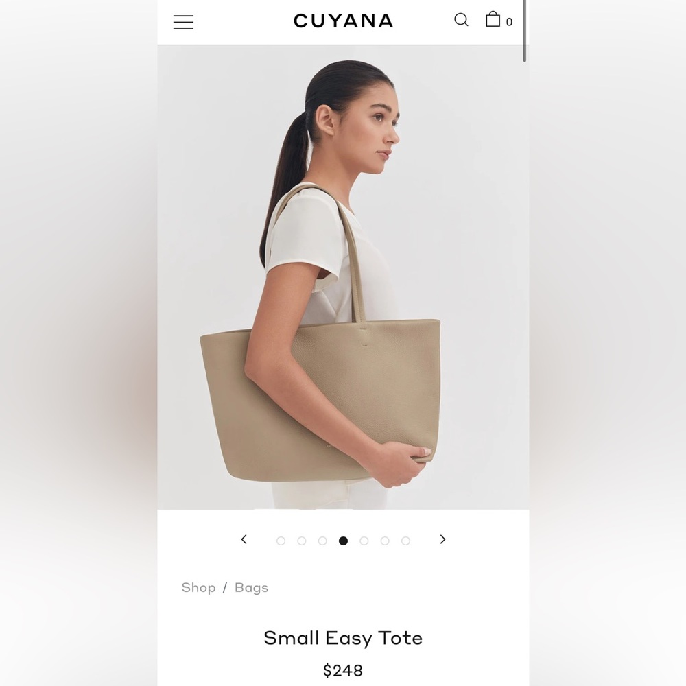 Cuyana Small Easy Tote in Stone